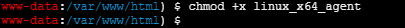 image-20251123202434139
