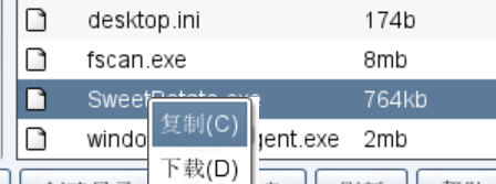 image-20251221201429948