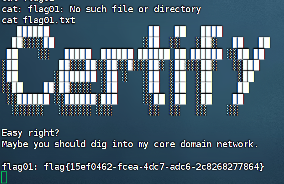image-20260130203336832