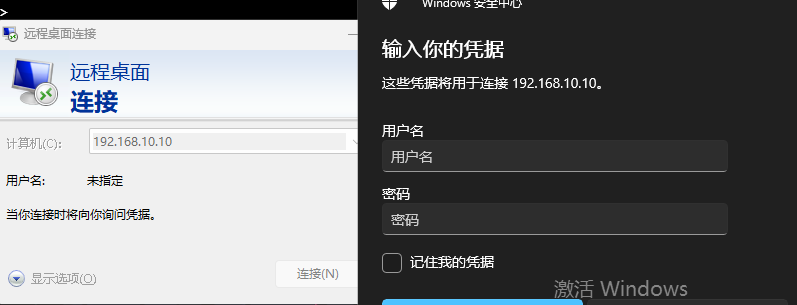 image-20251130221924545