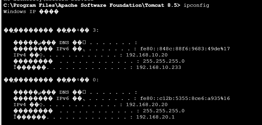 image-20260116142244189