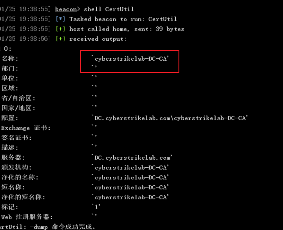 image-20260125195524713