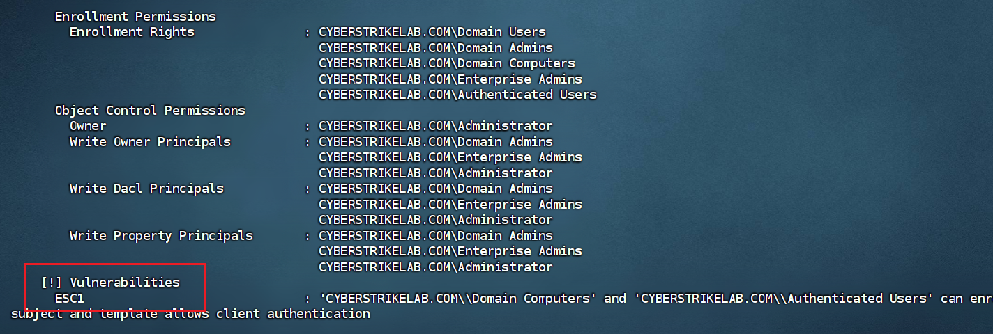 image-20260125203021216