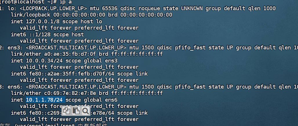 image-20260129013248486