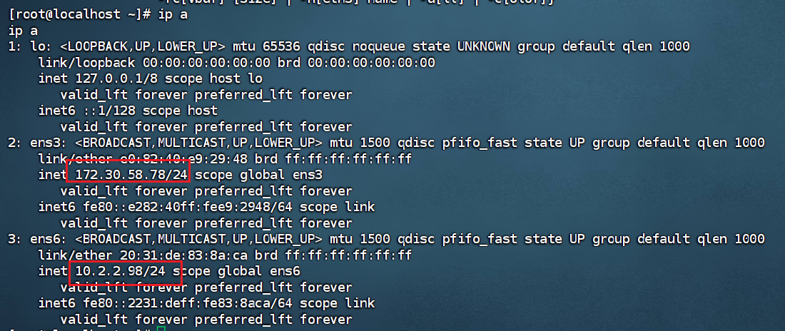 image-20260131164434035